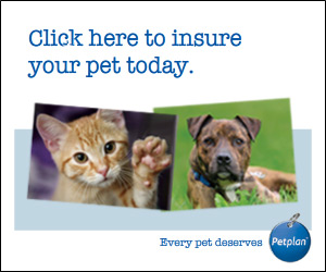 PetPlan Charity policy banner